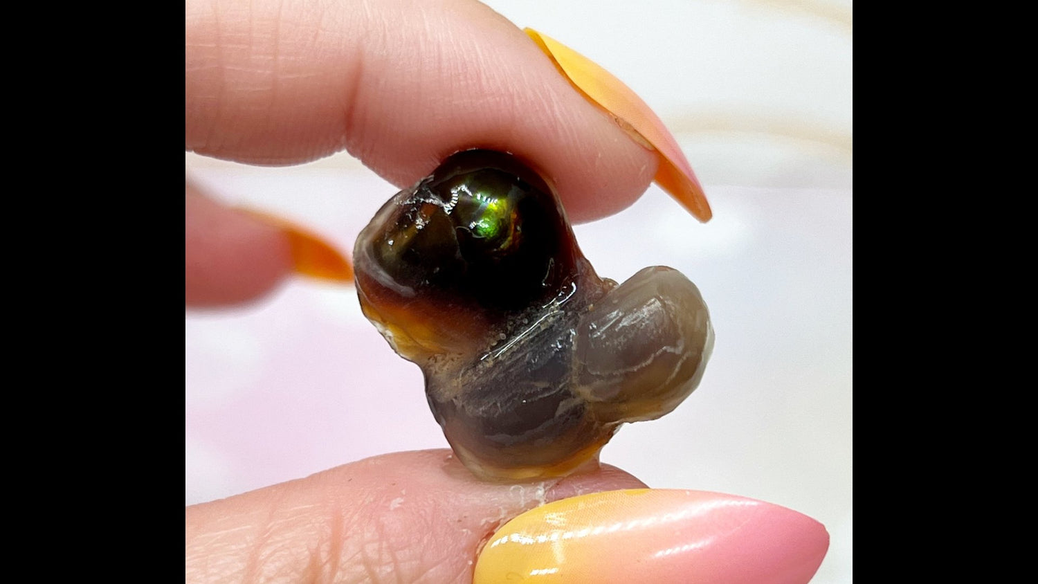 Specimens