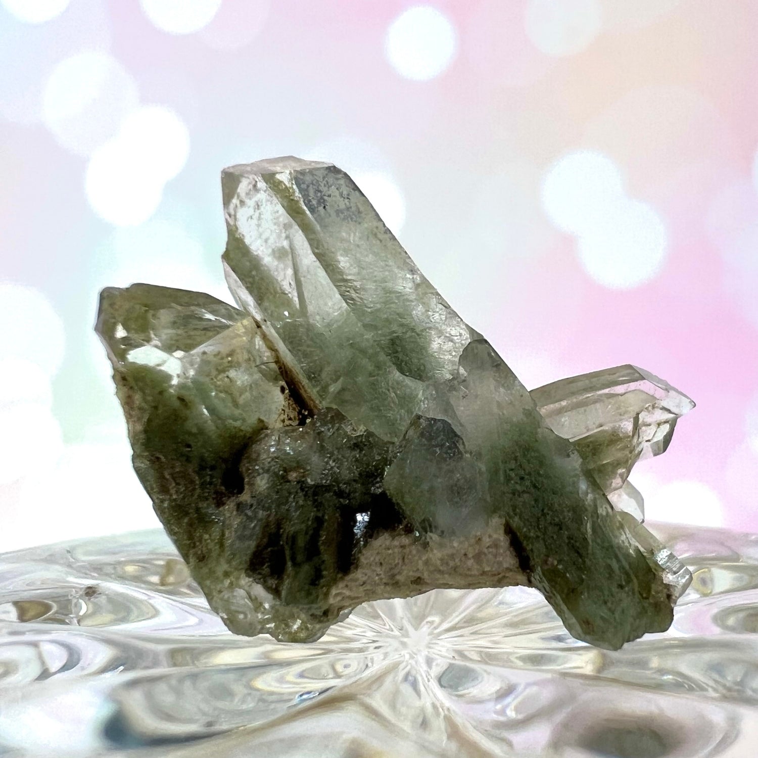 Chlorite Quartz