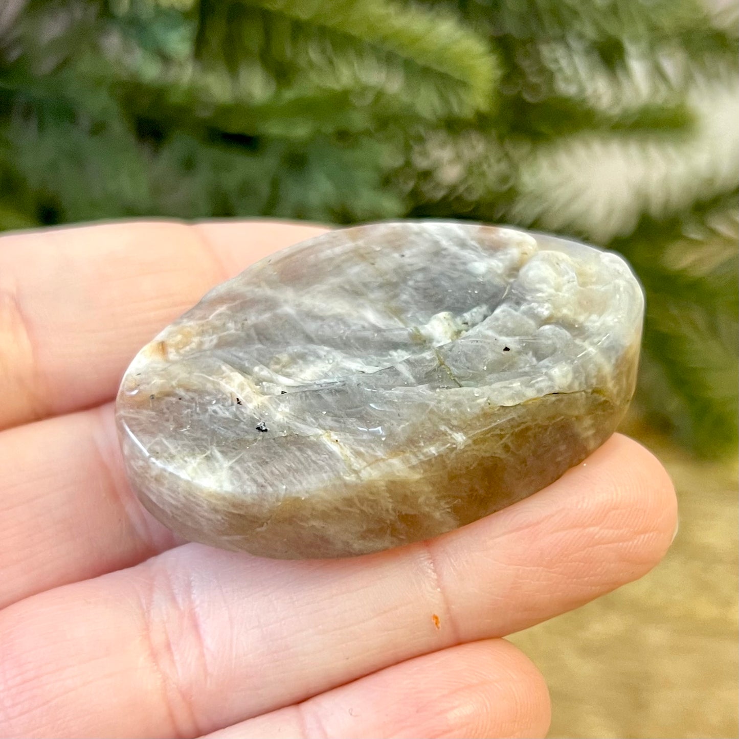Angel In Flight Belomorite Sunstone in Moonstone Crystal Carved Cabochon