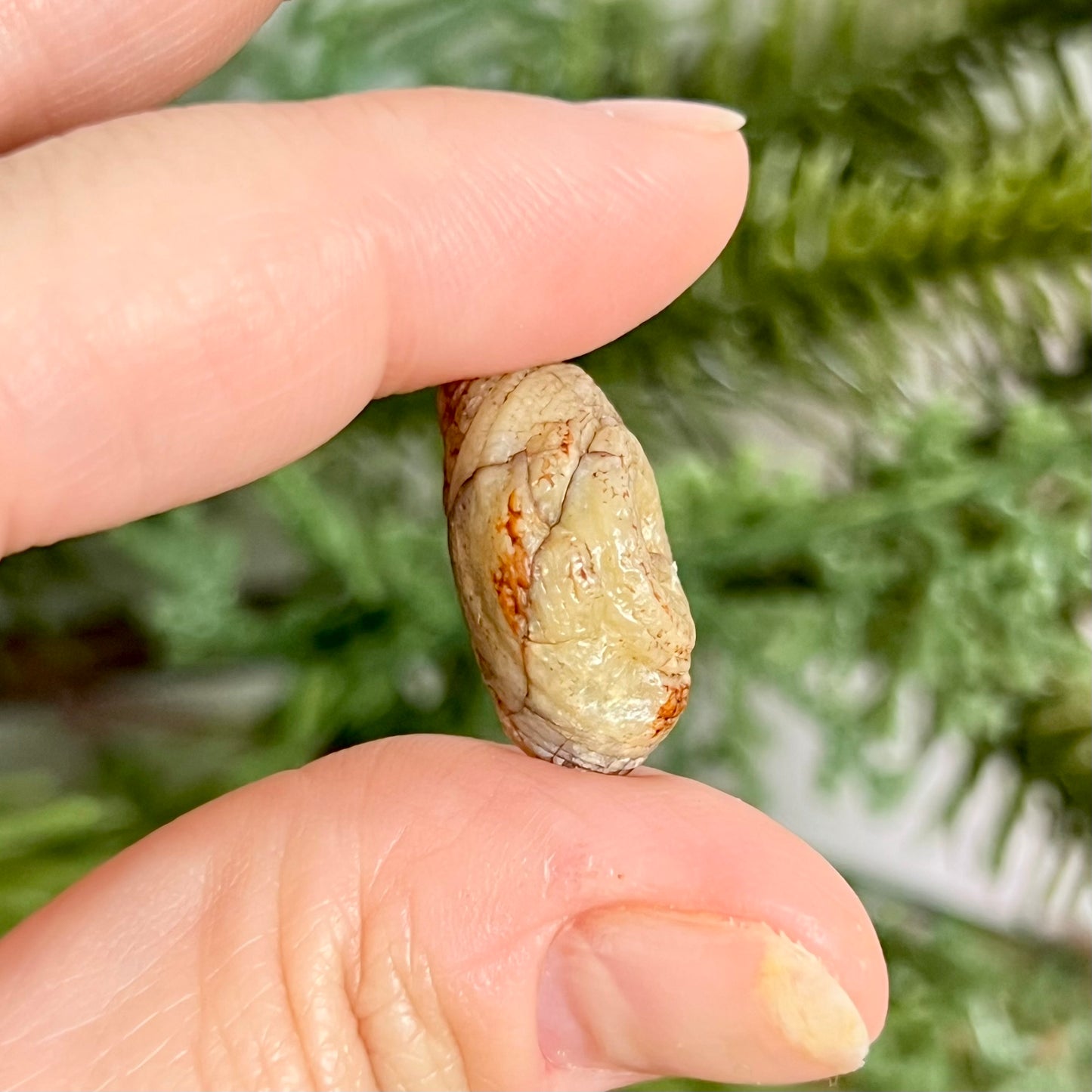 Gobi Desert Agate Natural Nodule