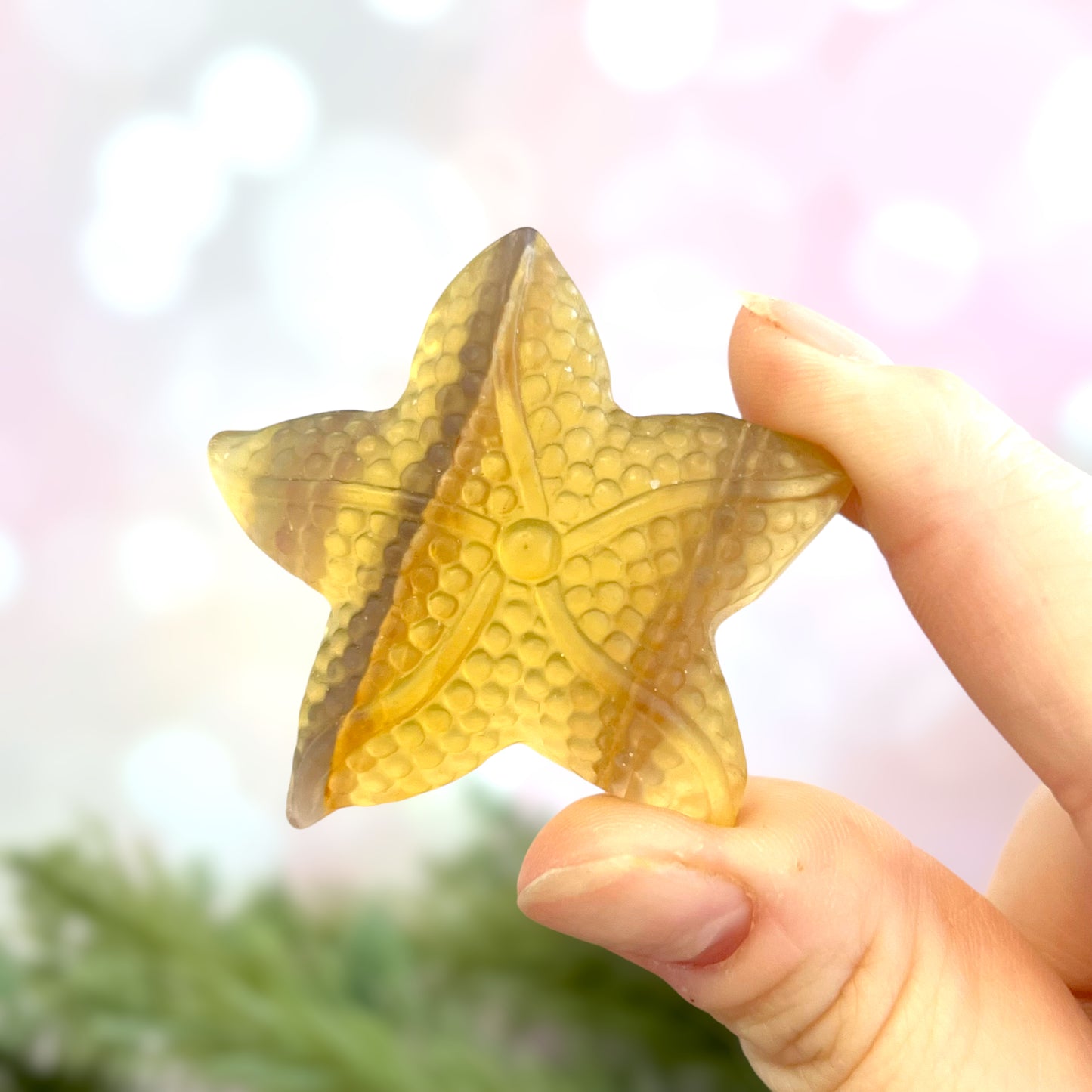 Yellow & Purple Fluorite Crystal Starfish Carved Cabochon