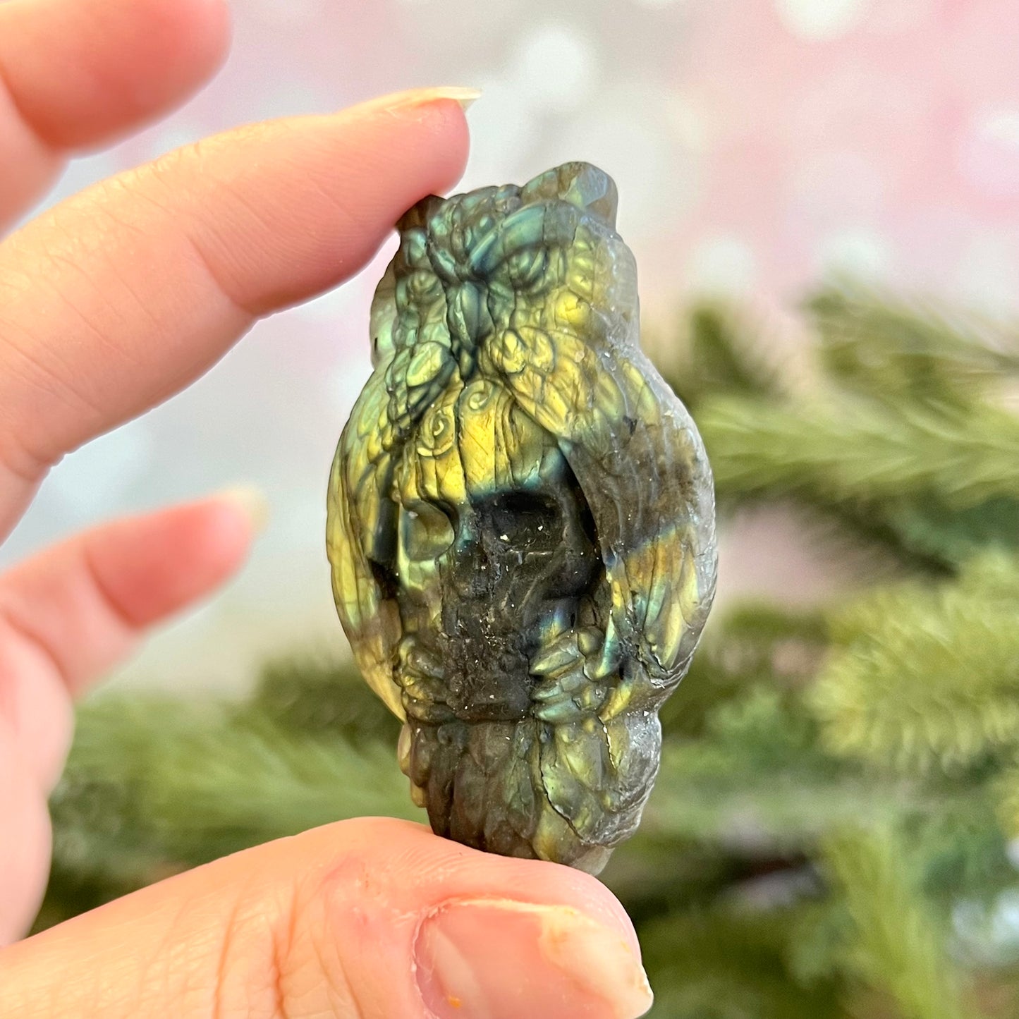 Owl on Skull Labradorite Crystal Carved Cabochon