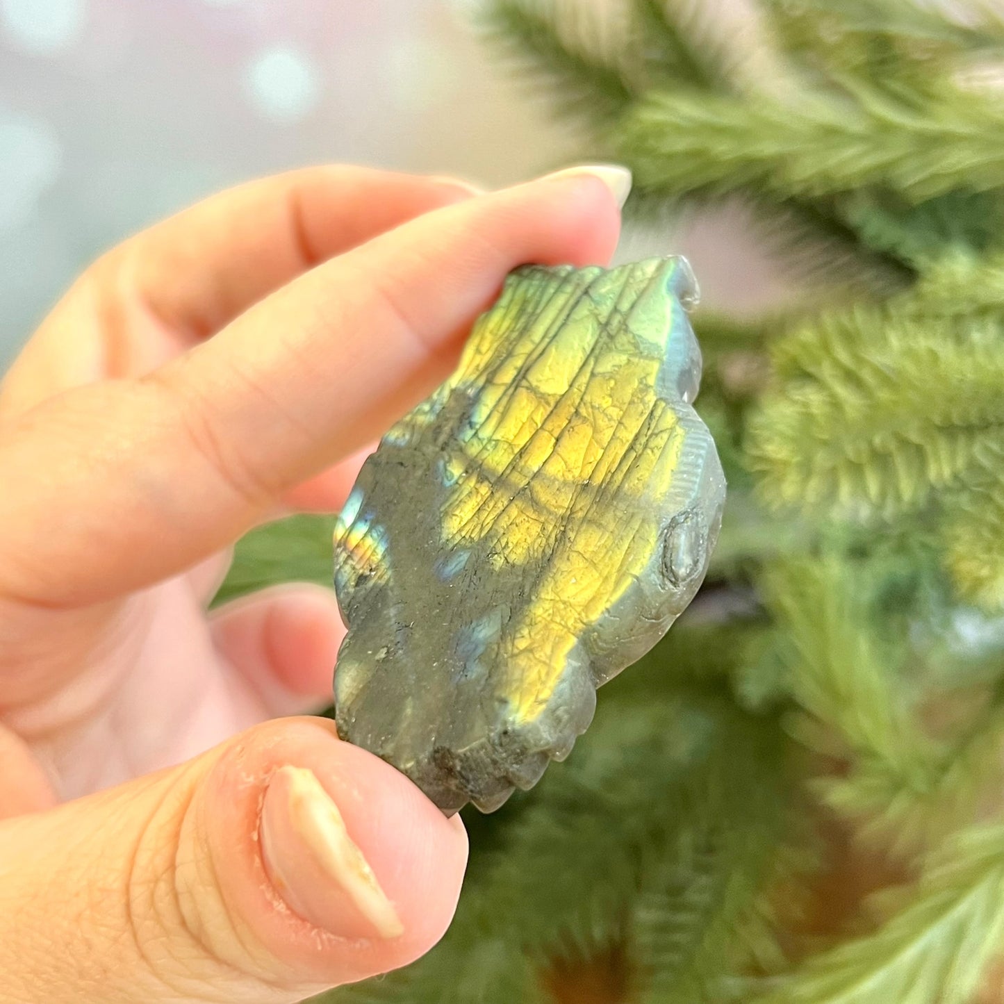 Labradorite Skull & Owl Carved Cabochon