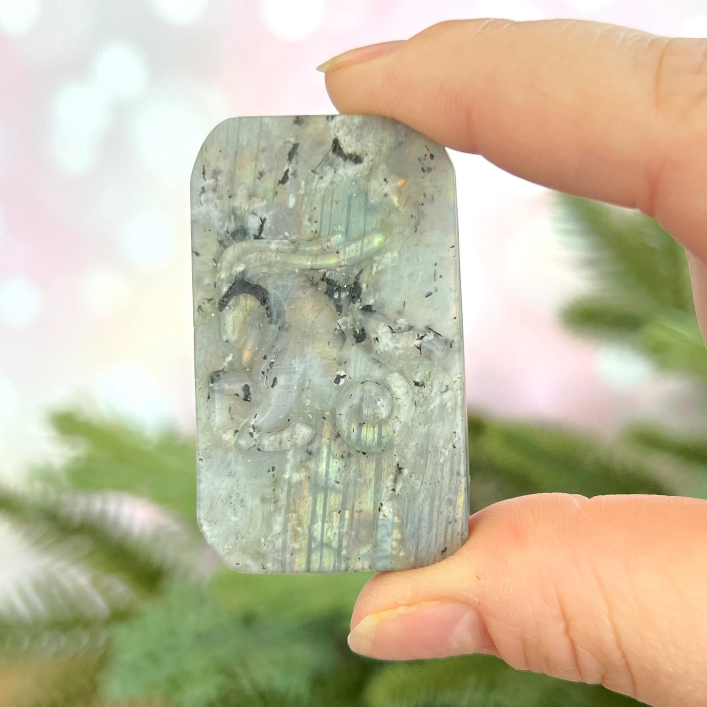 Labradorite Capricorn Carved Cabochon