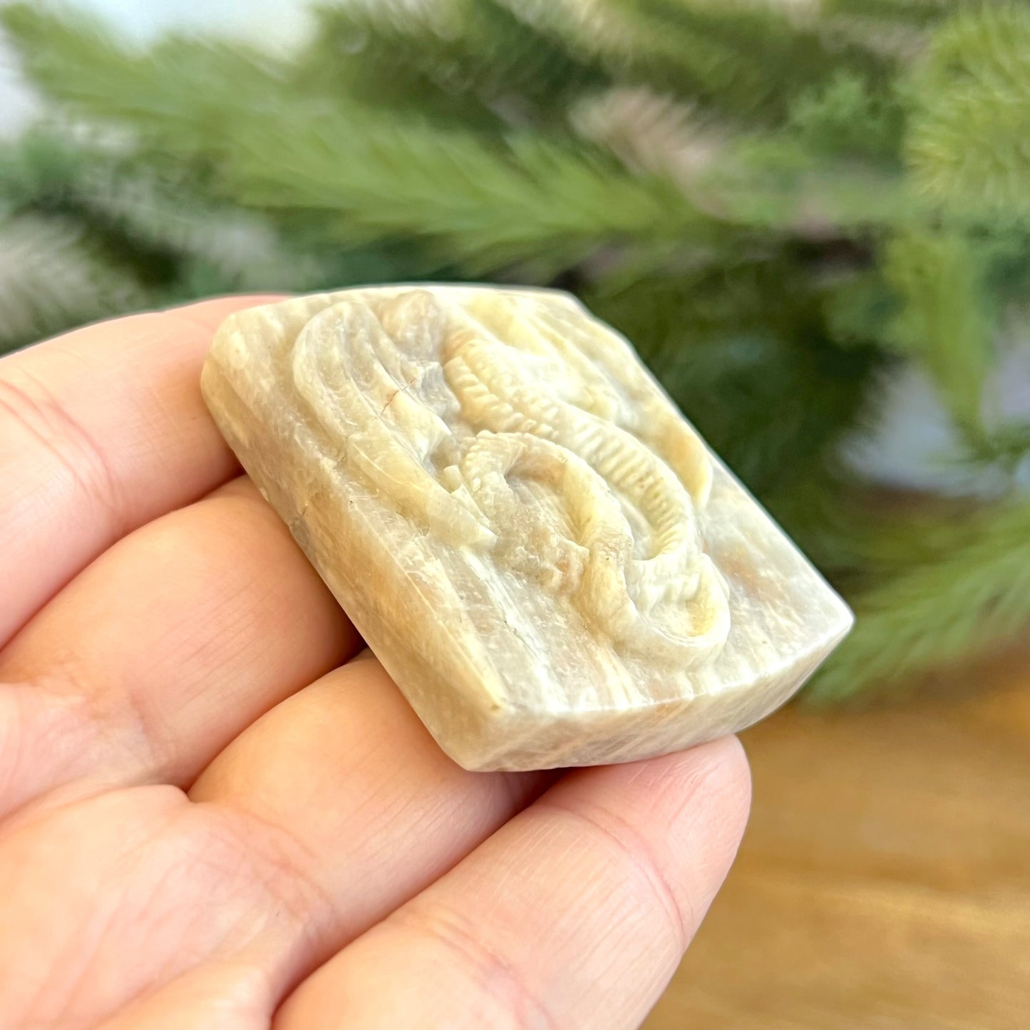 Belomorite Dragon Carved Crystal Cabochon