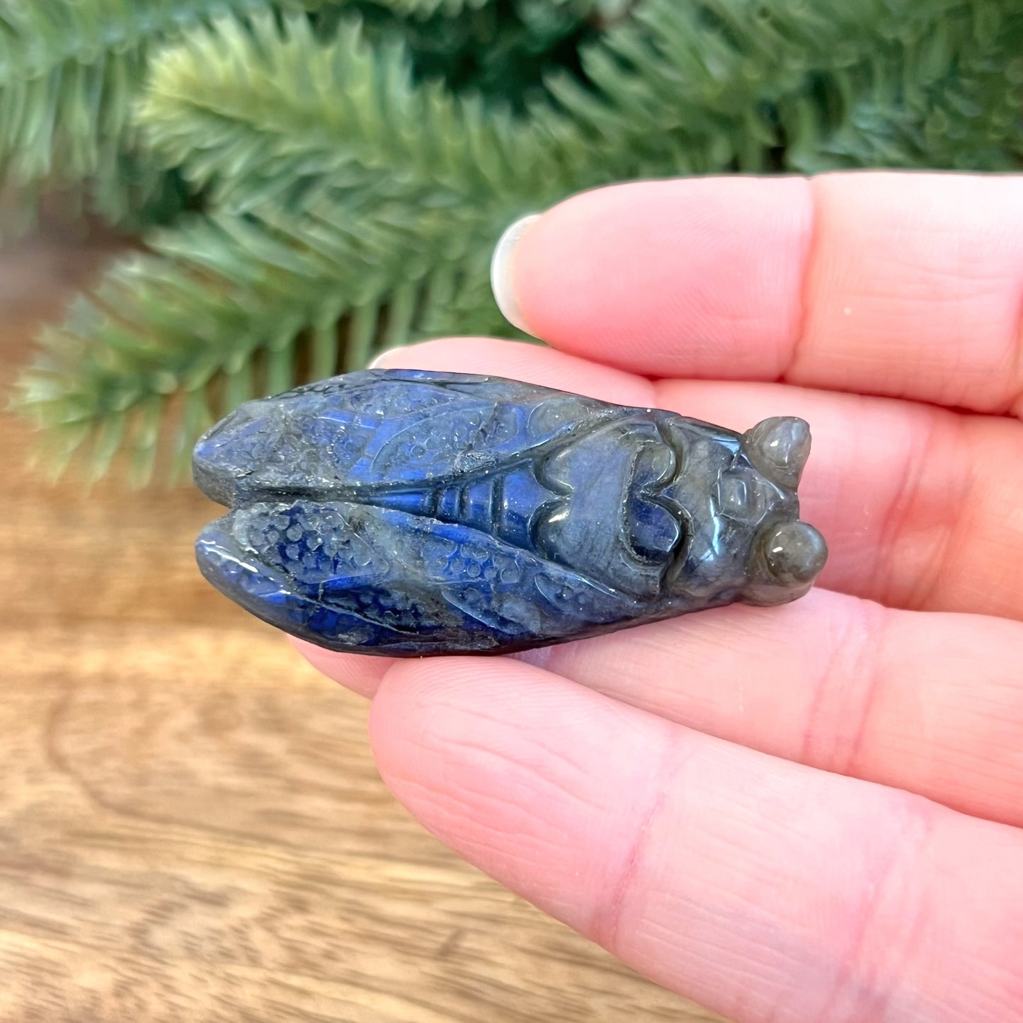 Labradorite Cicada Carved Crystal Cabochon
