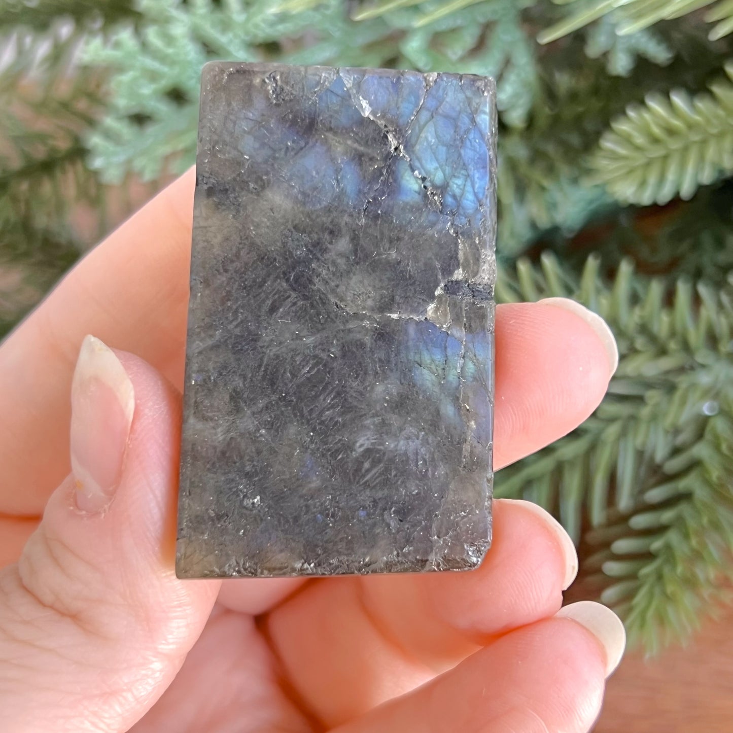 Labradorite Aquarius Carved Cabochon
