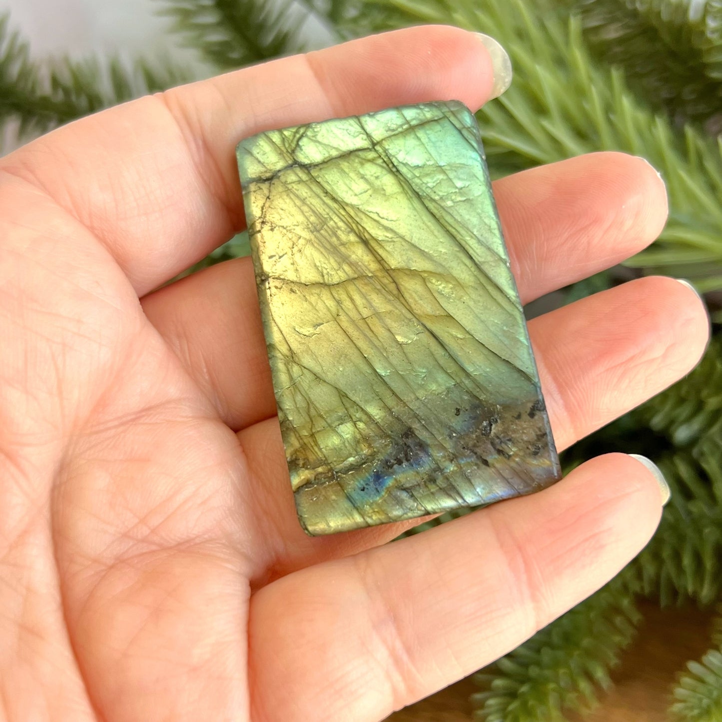 Labradorite Aquarius Carved Cabochon
