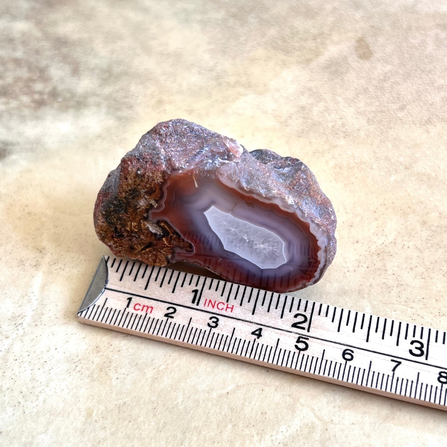 Single Face Polished Red & Gray Agate Specimen