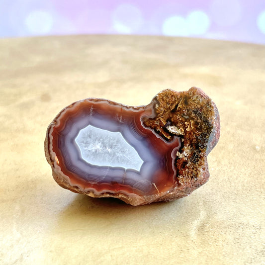 Single Face Polished Red & Gray Agate Specimen