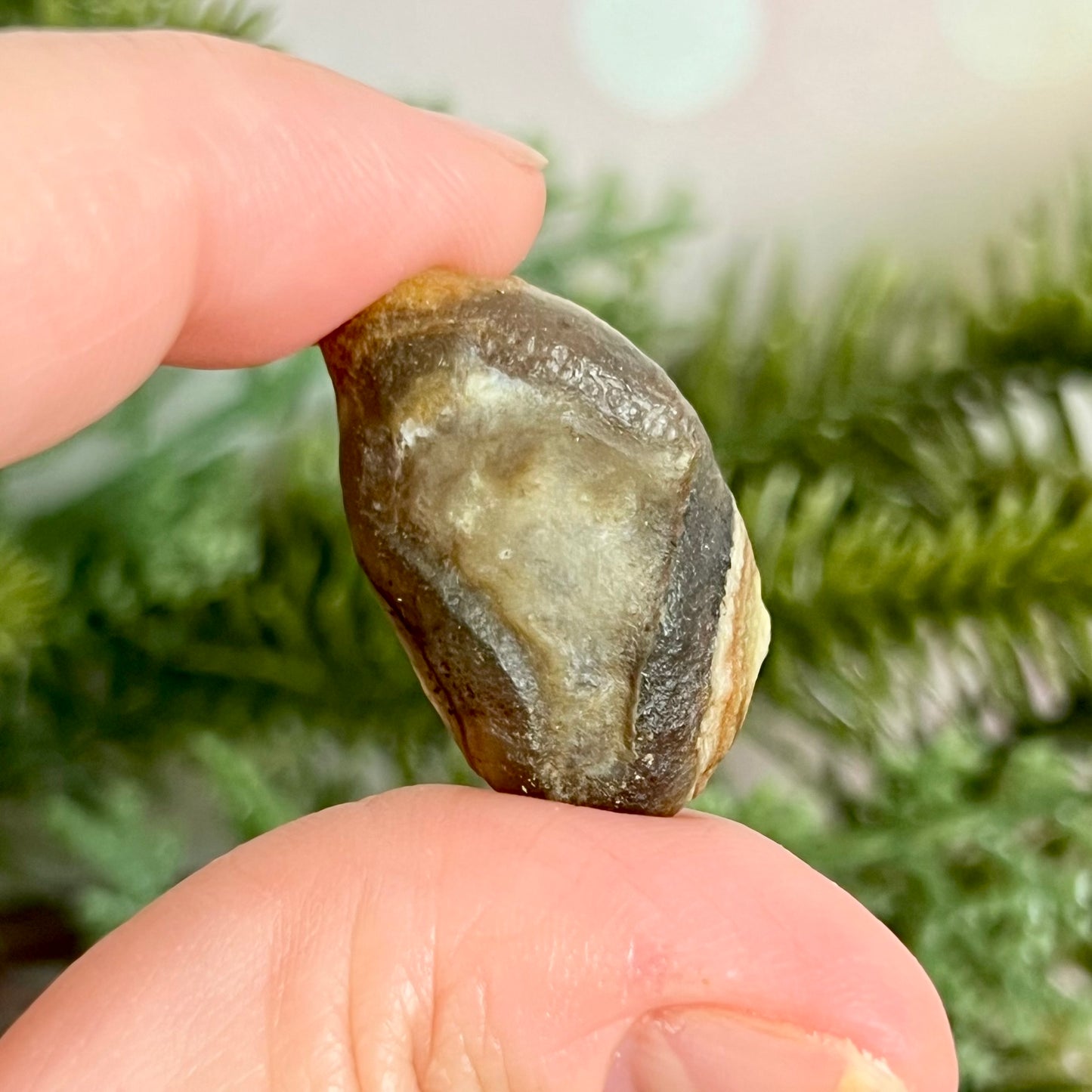 Gobi Desert Agate Natural Nodule