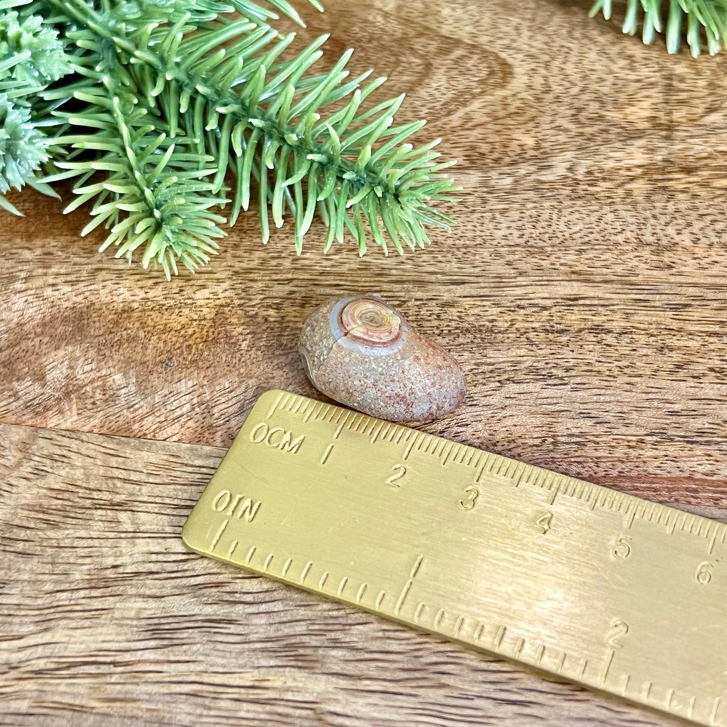 Gobi Desert Agate Natural Nodule