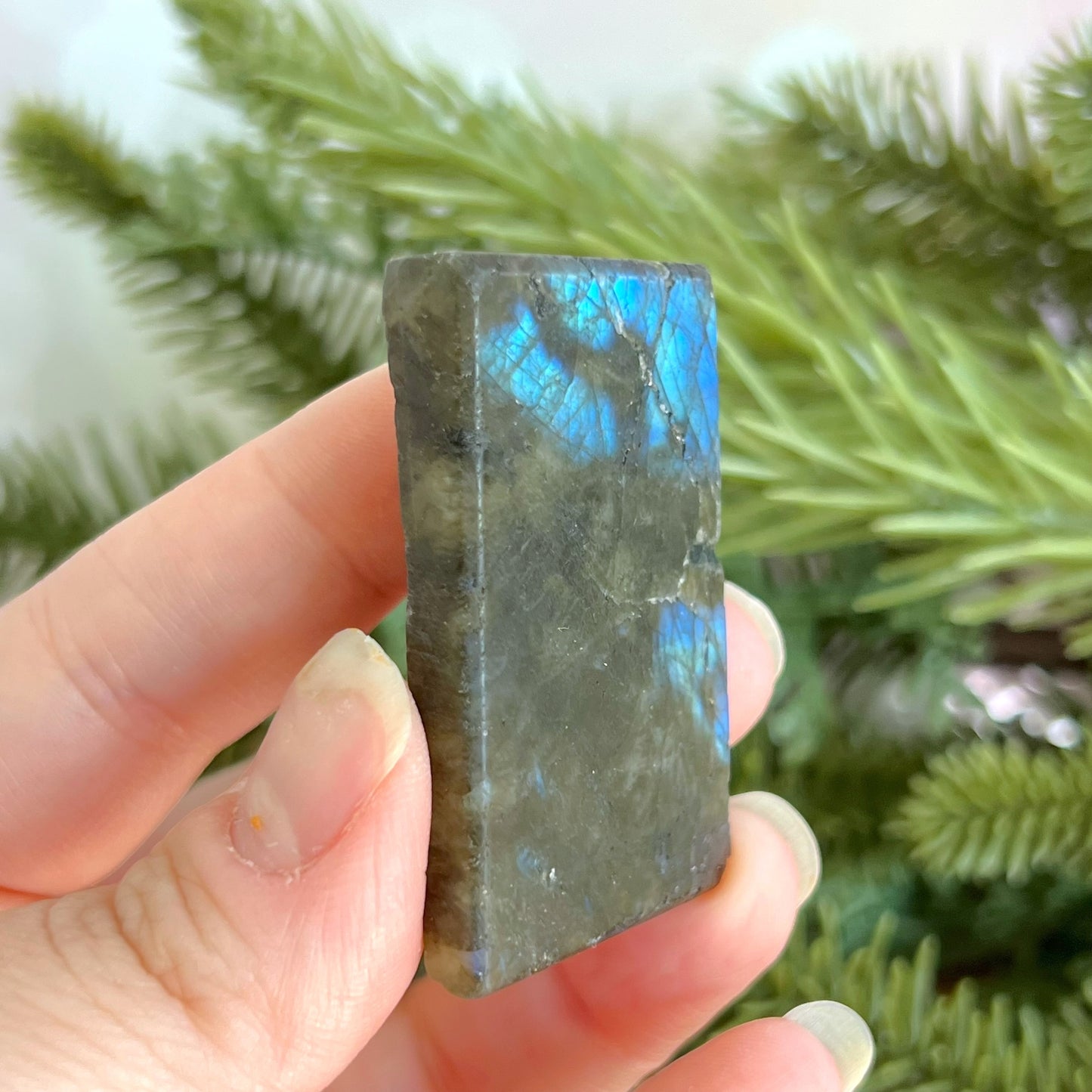 Labradorite Aquarius Carved Cabochon