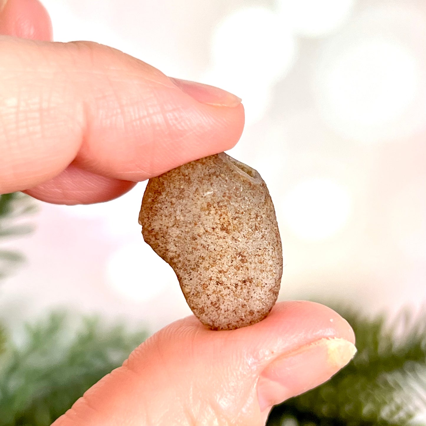 Gobi Desert Agate Natural Nodule