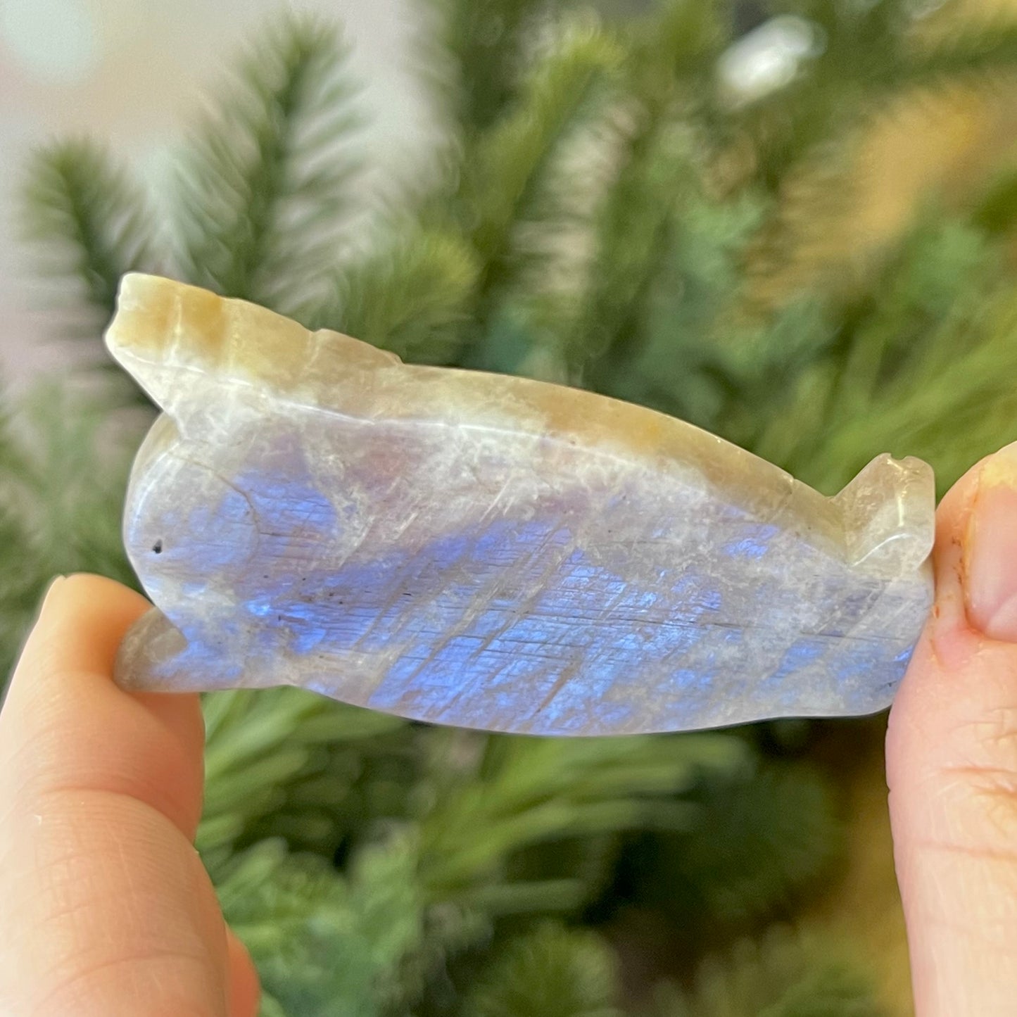 Angel Belomorite Sunstone in Moonstone Carved Cabochon