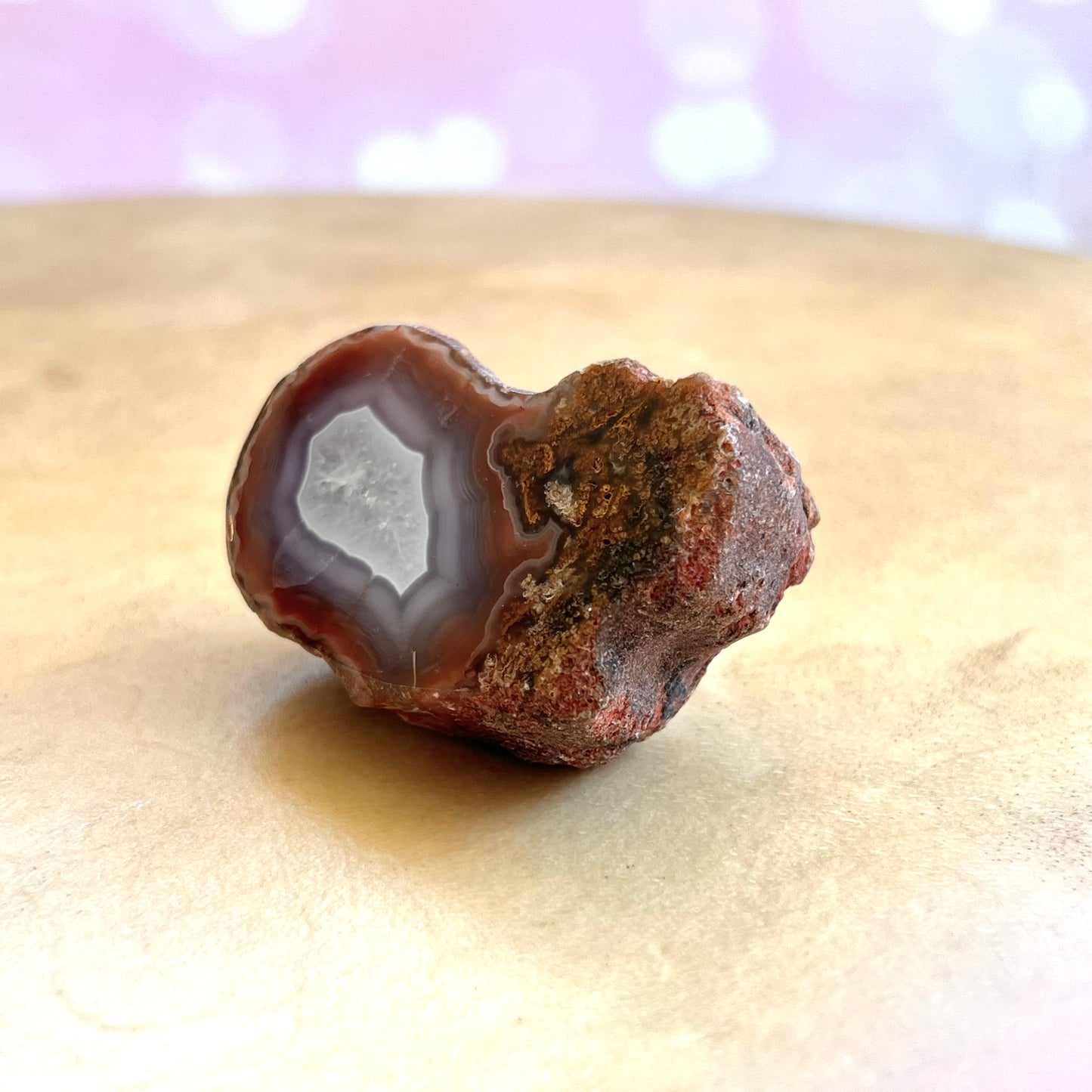 Single Face Polished Red & Gray Agate Specimen