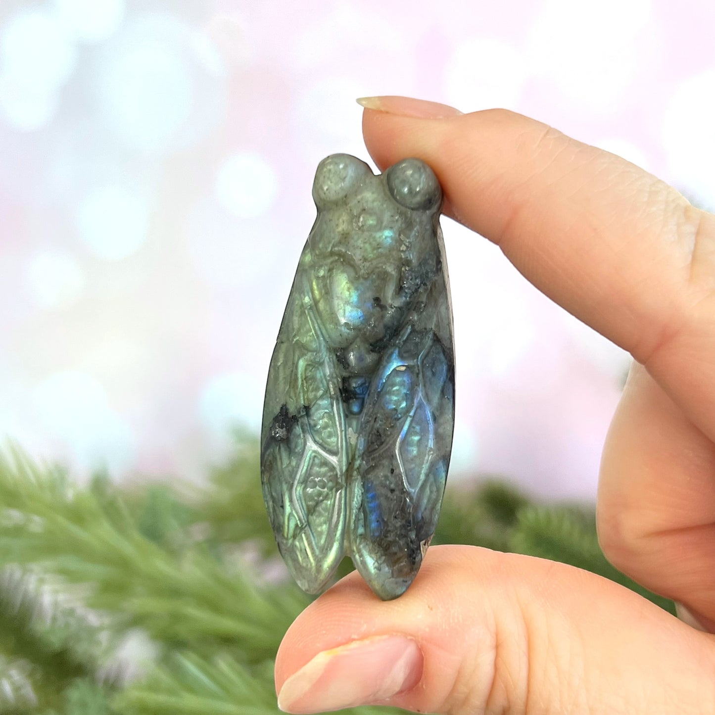 Labradorite Cicada Carved Crystal Cabochon