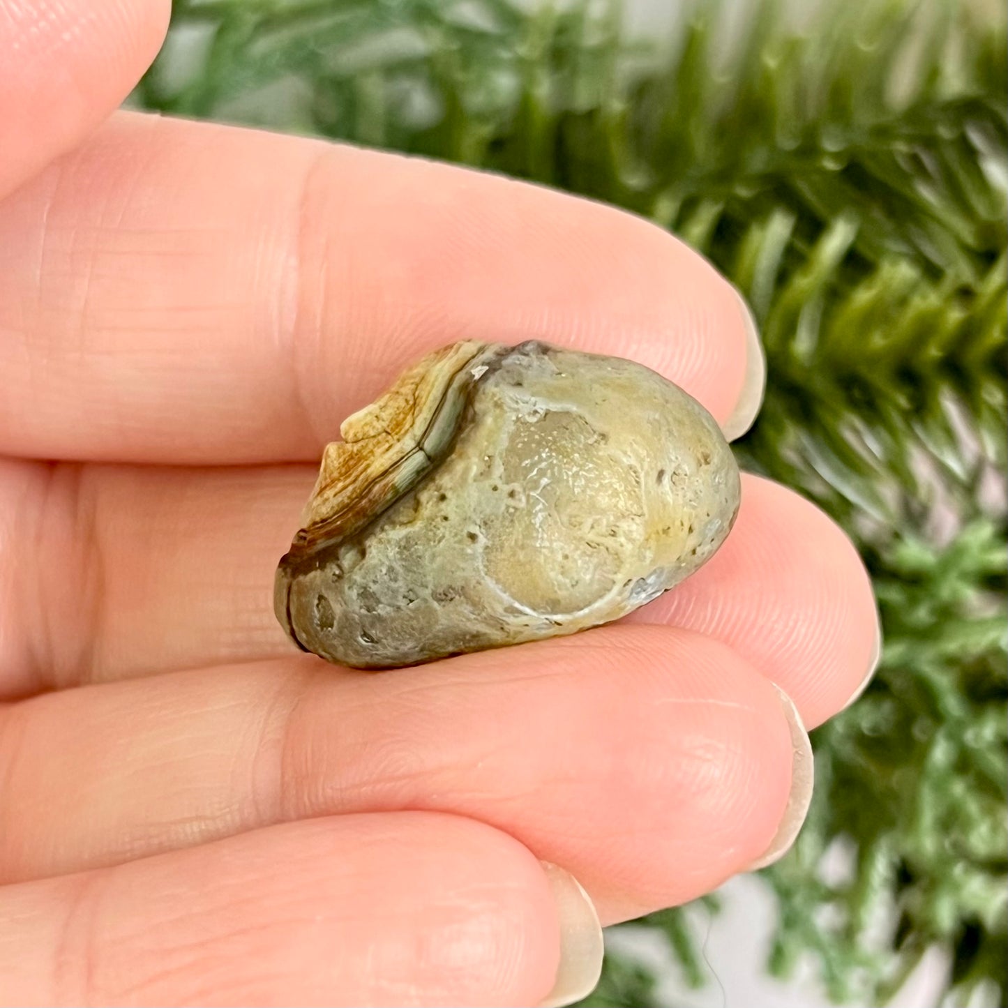 Gobi Desert Agate Natural Nodule