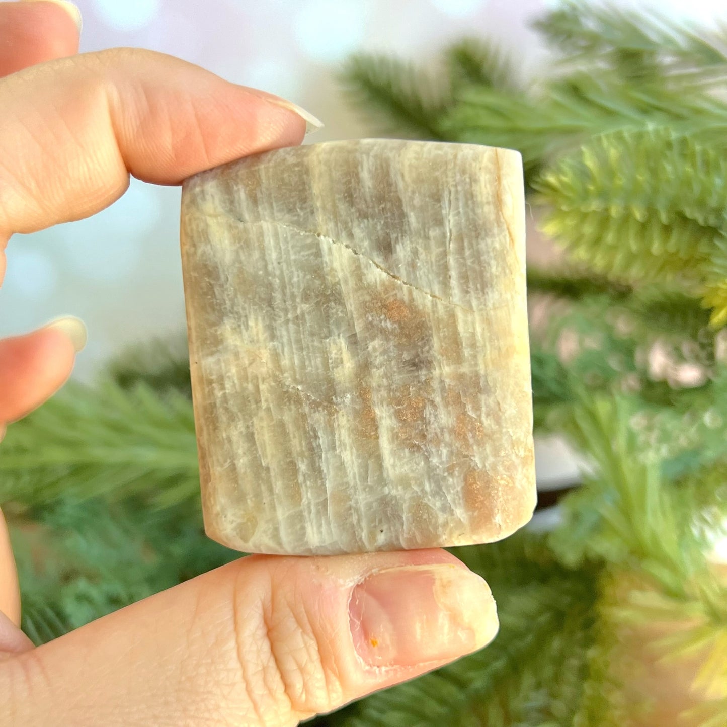 Belomorite Dragon Carved Crystal Cabochon