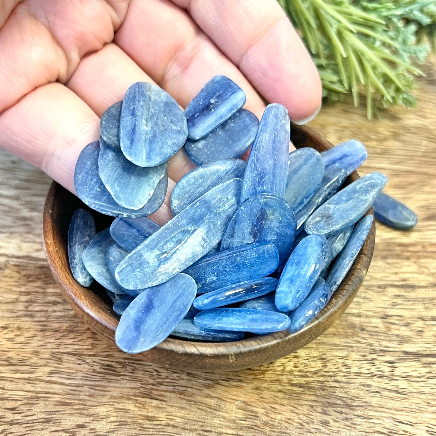 Kyanite Tumbled Crystal Blade