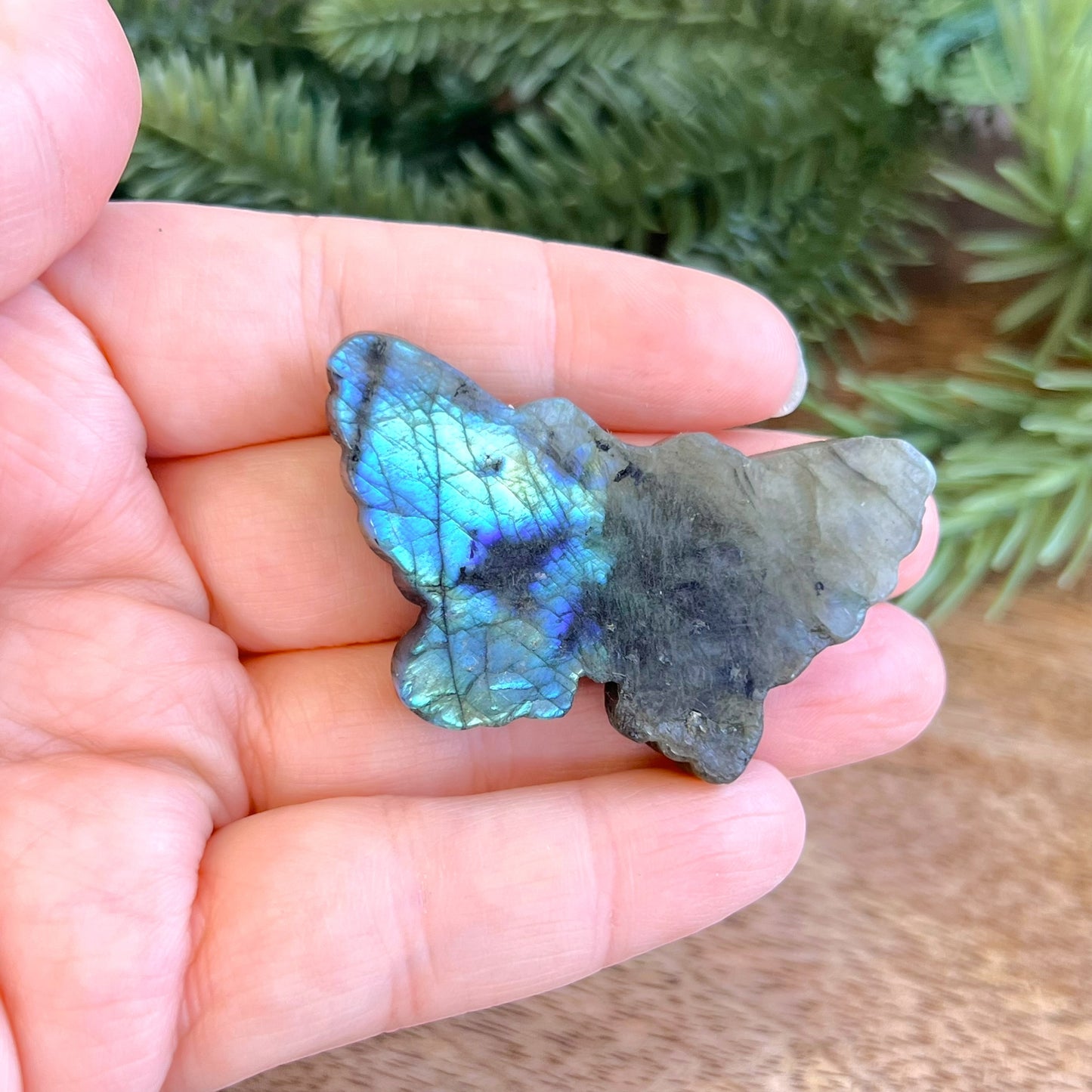 Labradorite Butterfly Carved Cabochon