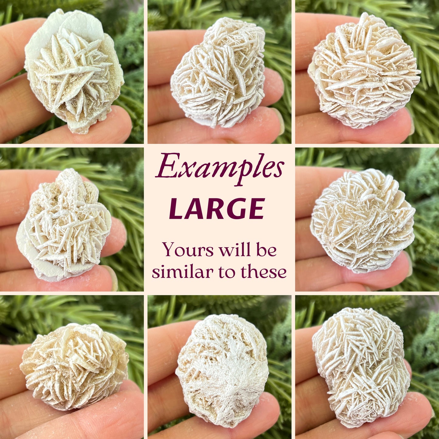 Desert Rose Satin Spar Selenite - Multiple Sizes