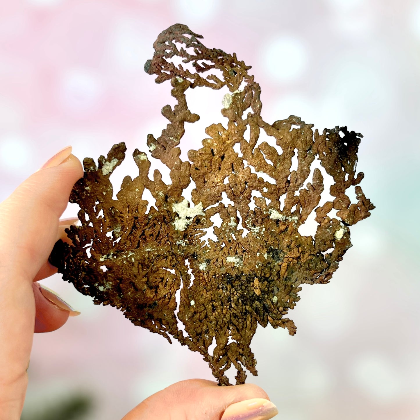 Copper Metal Dendritic Specimen