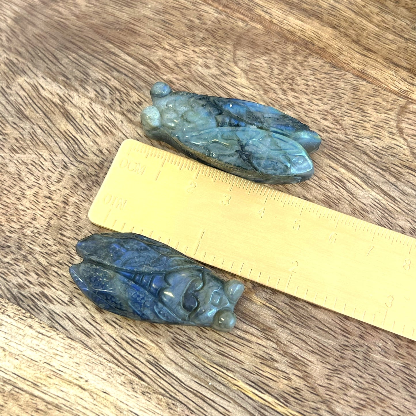 Labradorite Cicada Carved Crystal Cabochon