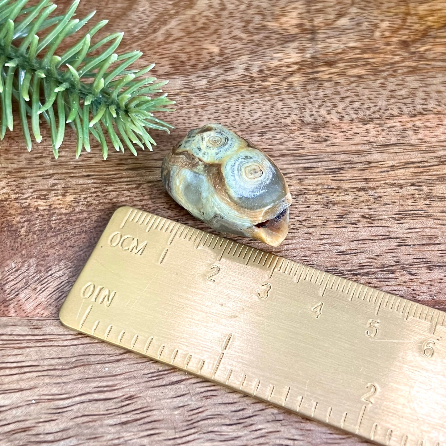 Gobi Desert Agate Natural Nodule