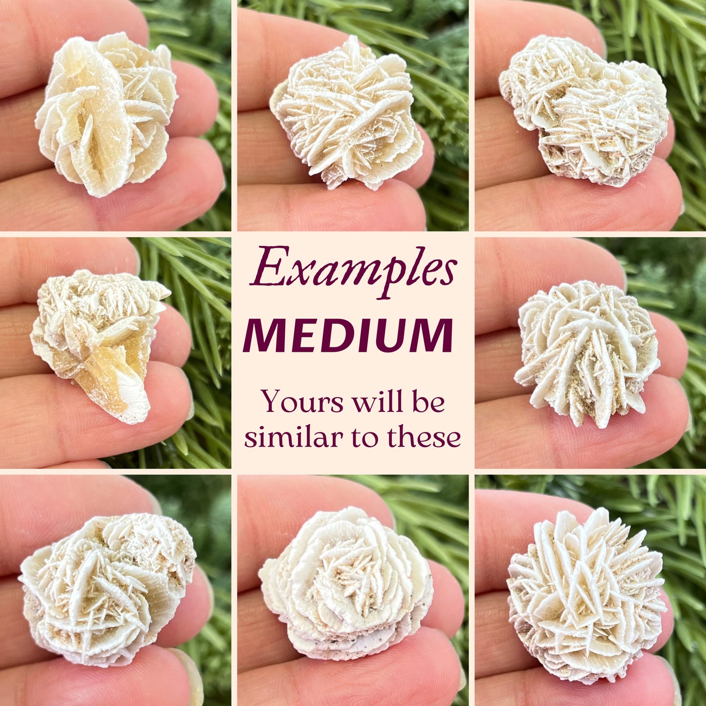 Desert Rose Satin Spar Selenite - Multiple Sizes
