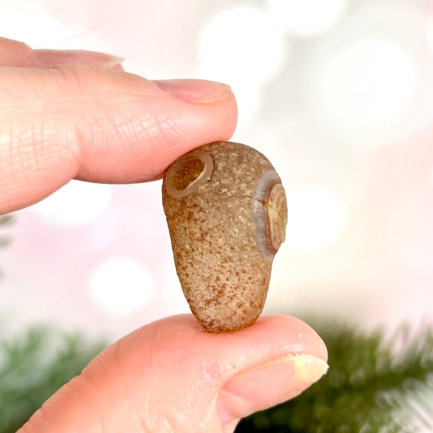 Gobi Desert Agate Natural Nodule