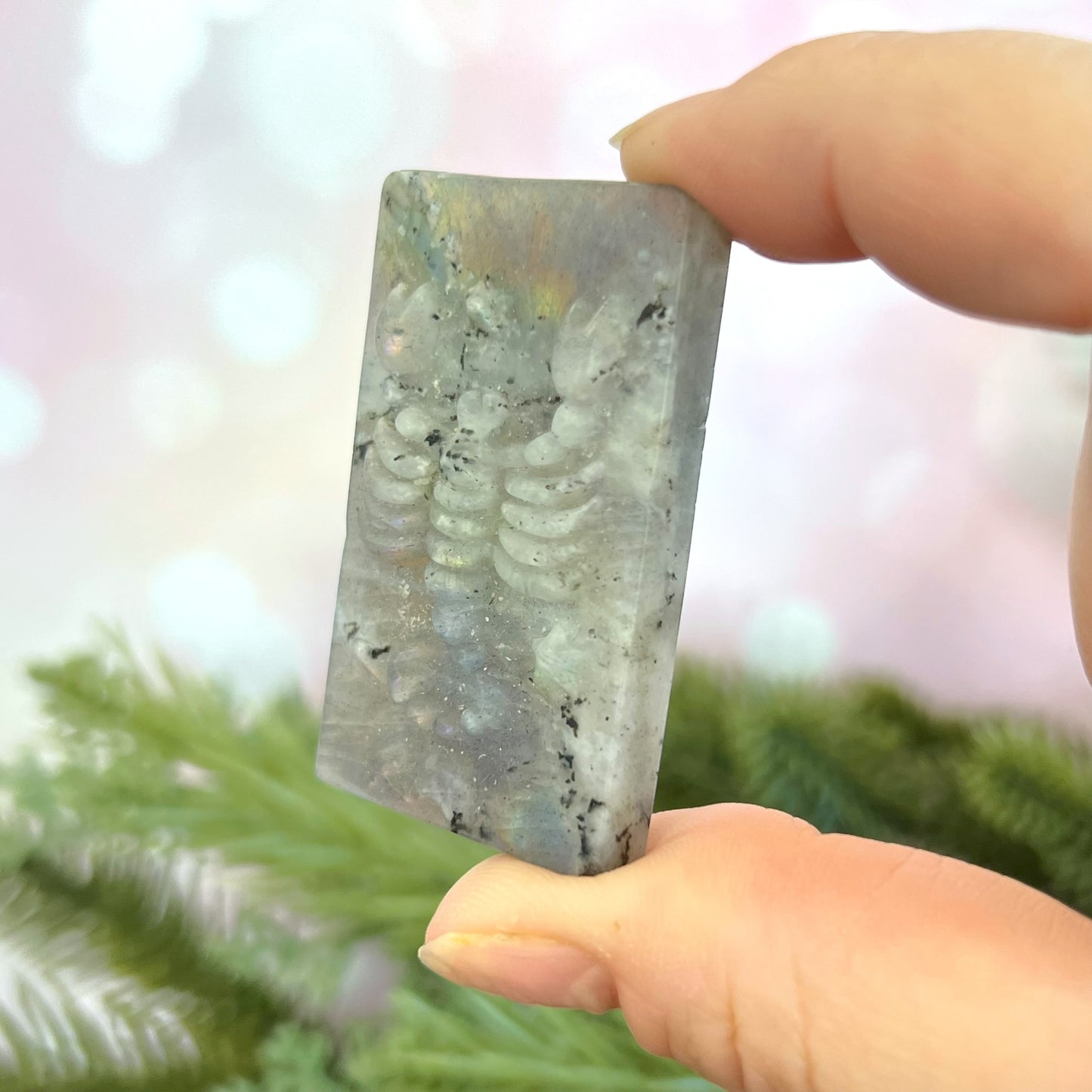 Labradorite Scorpio Carved Cabochon