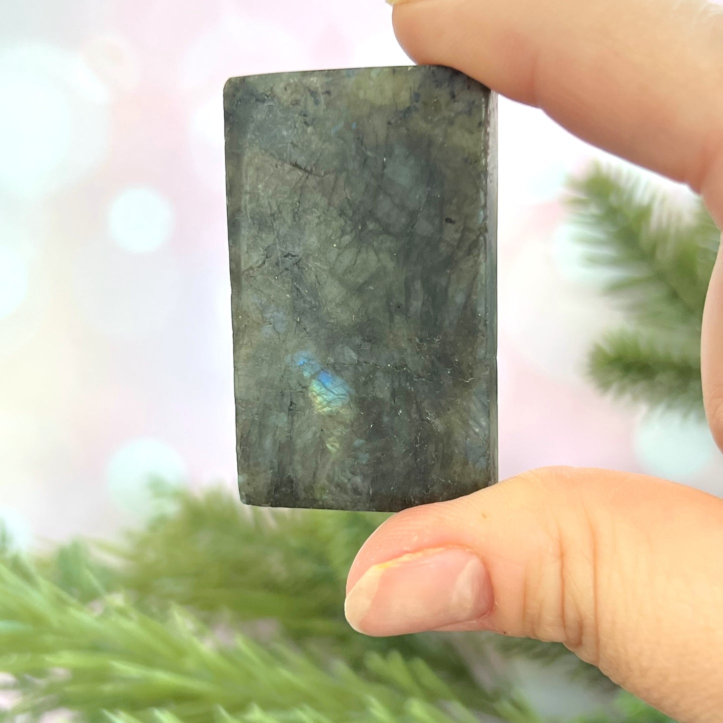 Labradorite Gemini Carved Cabochon