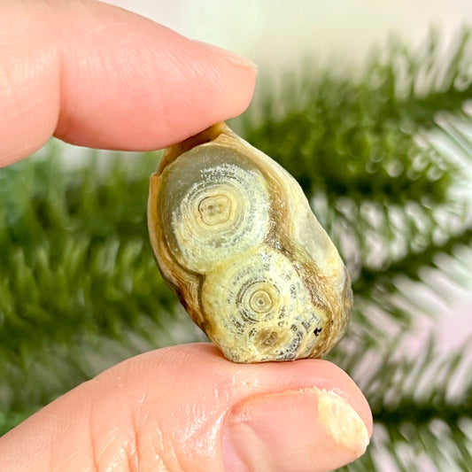 Gobi Desert Agate Natural Nodule