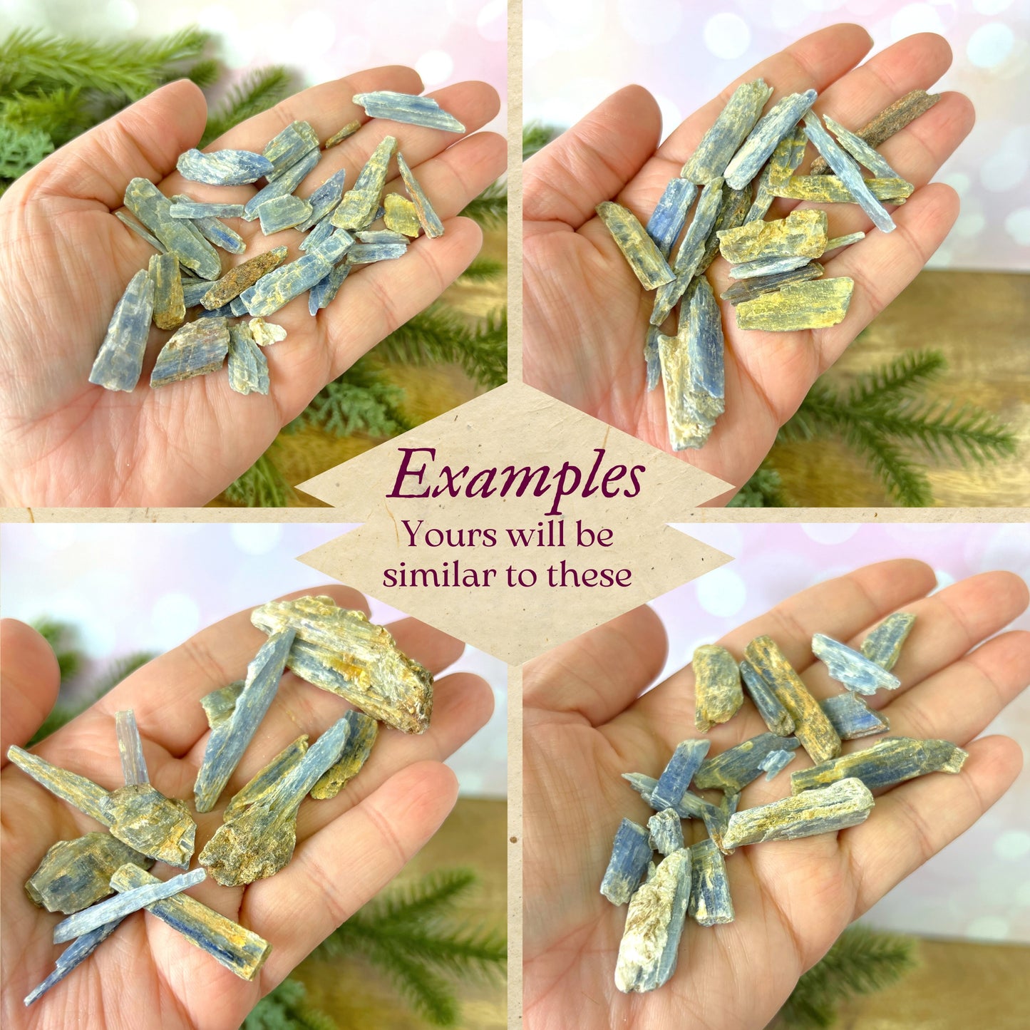 Kyanite Blade Rough Crystal Set 1 oz