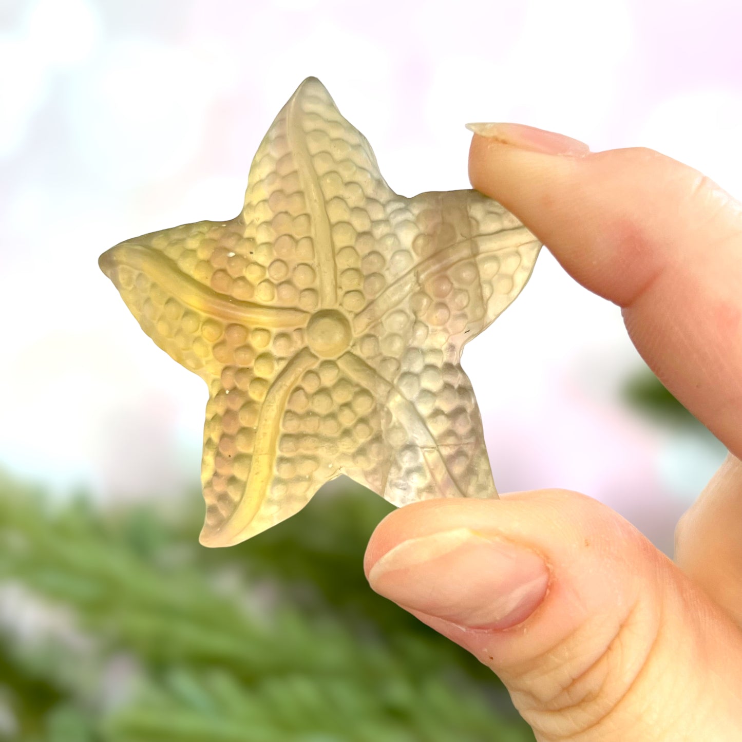 Yellow Fluorite Starfish Carved Gemstone Cabochon Crystal