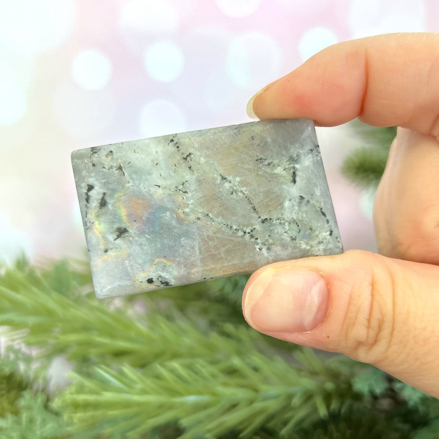 Labradorite Scorpio Carved Cabochon