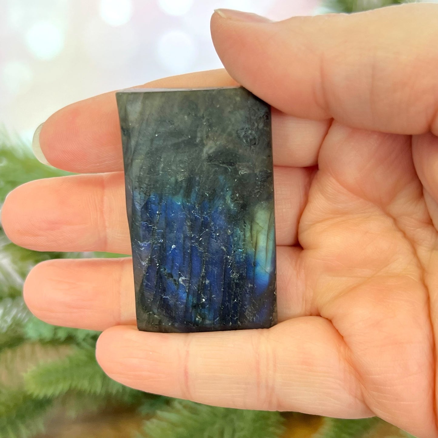 Labradorite Capricorn Carved Cabochon