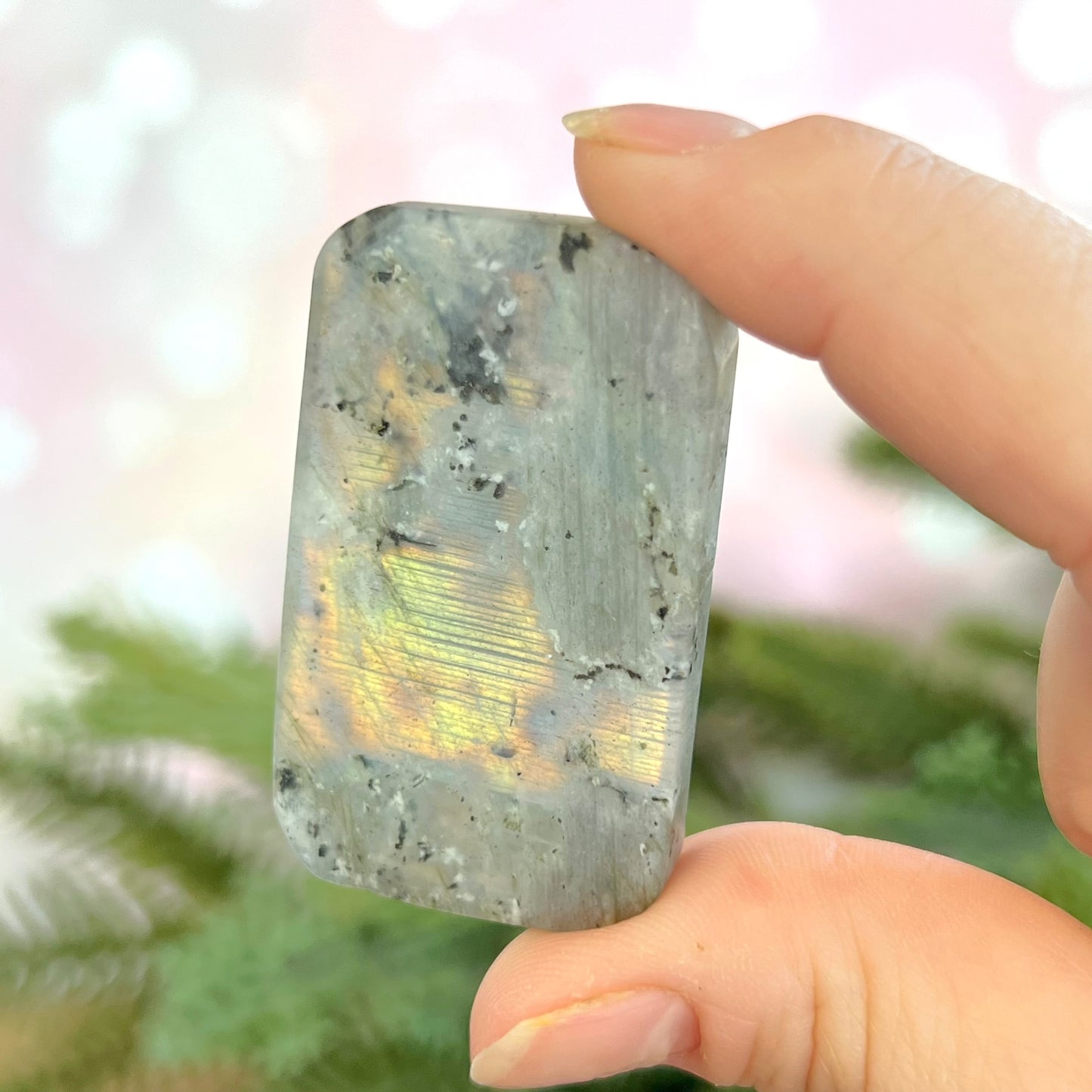 Labradorite Capricorn Carved Cabochon