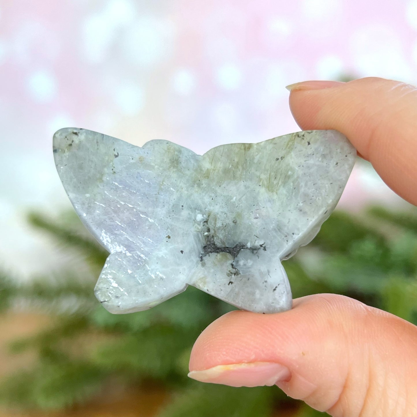 Labradorite Butterfly Carved Cabochon