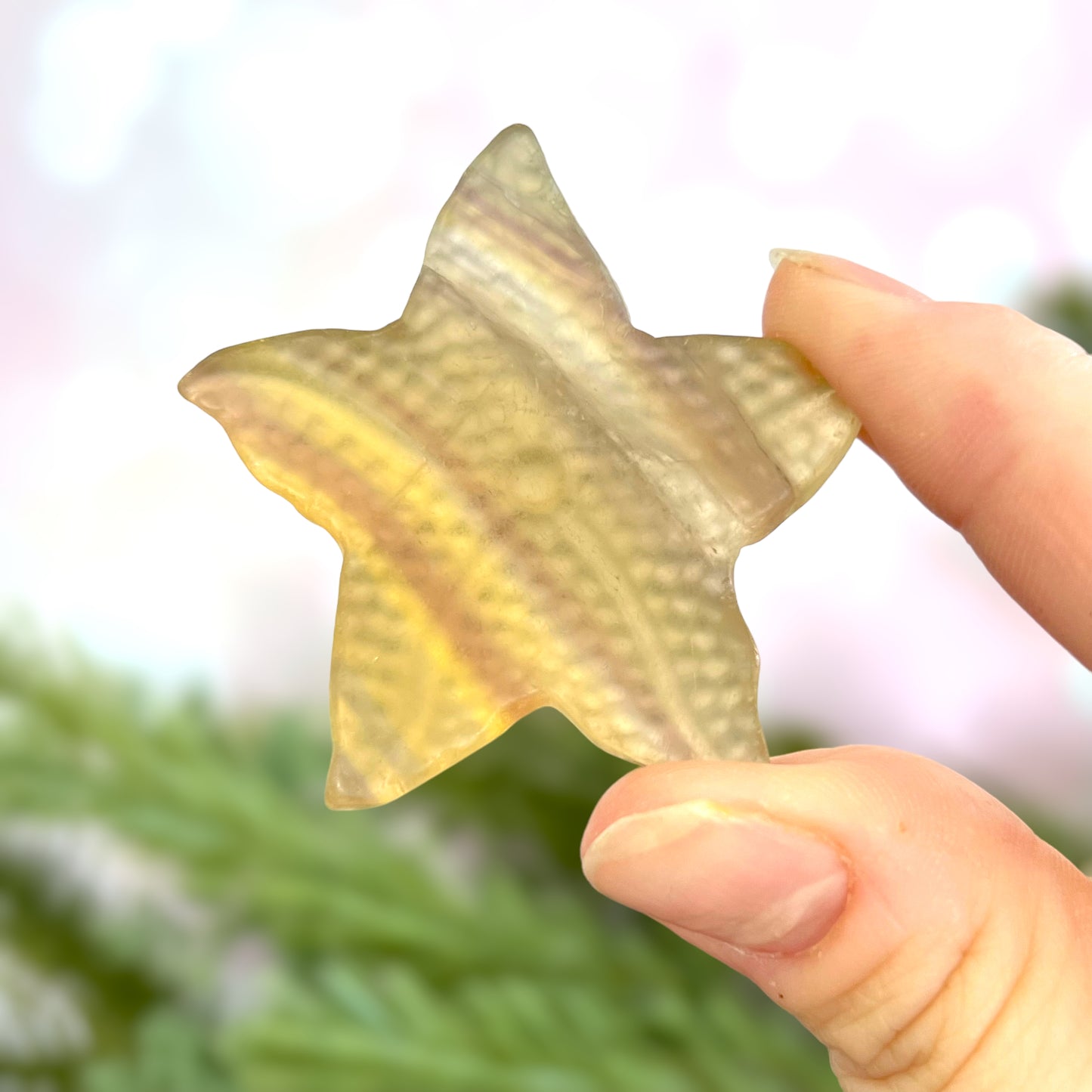 Yellow Fluorite Starfish Carved Gemstone Cabochon Crystal