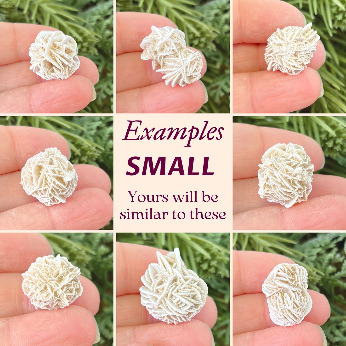 Desert Rose Satin Spar Selenite - Multiple Sizes