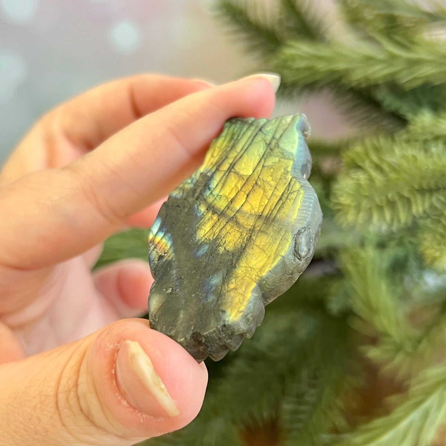 Owl on Skull Labradorite Crystal Carved Cabochon