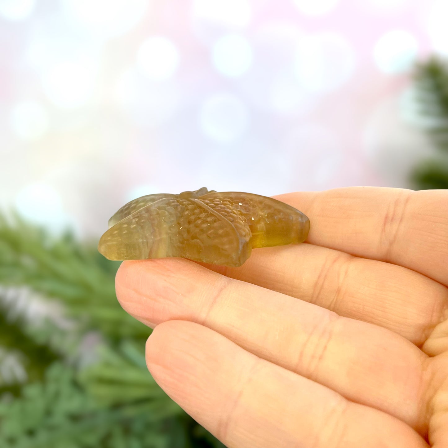 Yellow Fluorite Starfish Carved Gemstone Cabochon Crystal