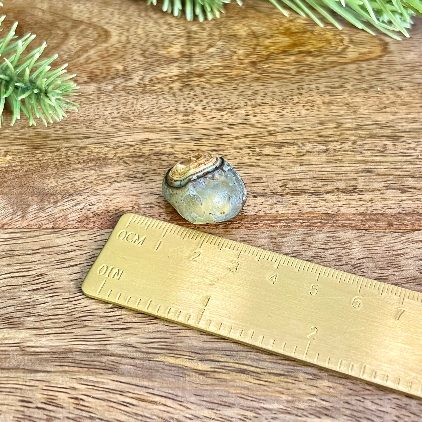 Gobi Desert Agate Natural Nodule