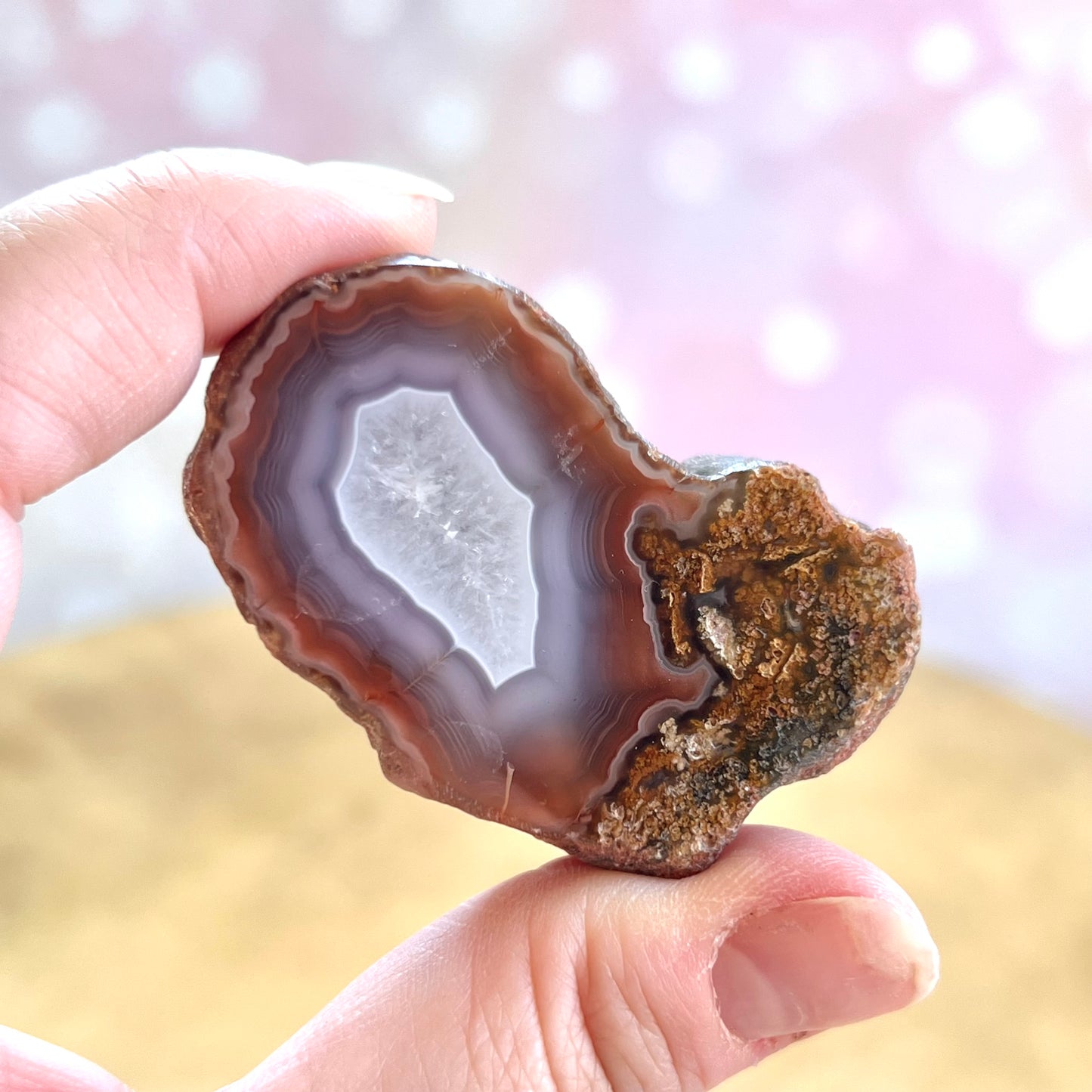 Single Face Polished Red & Gray Agate Specimen