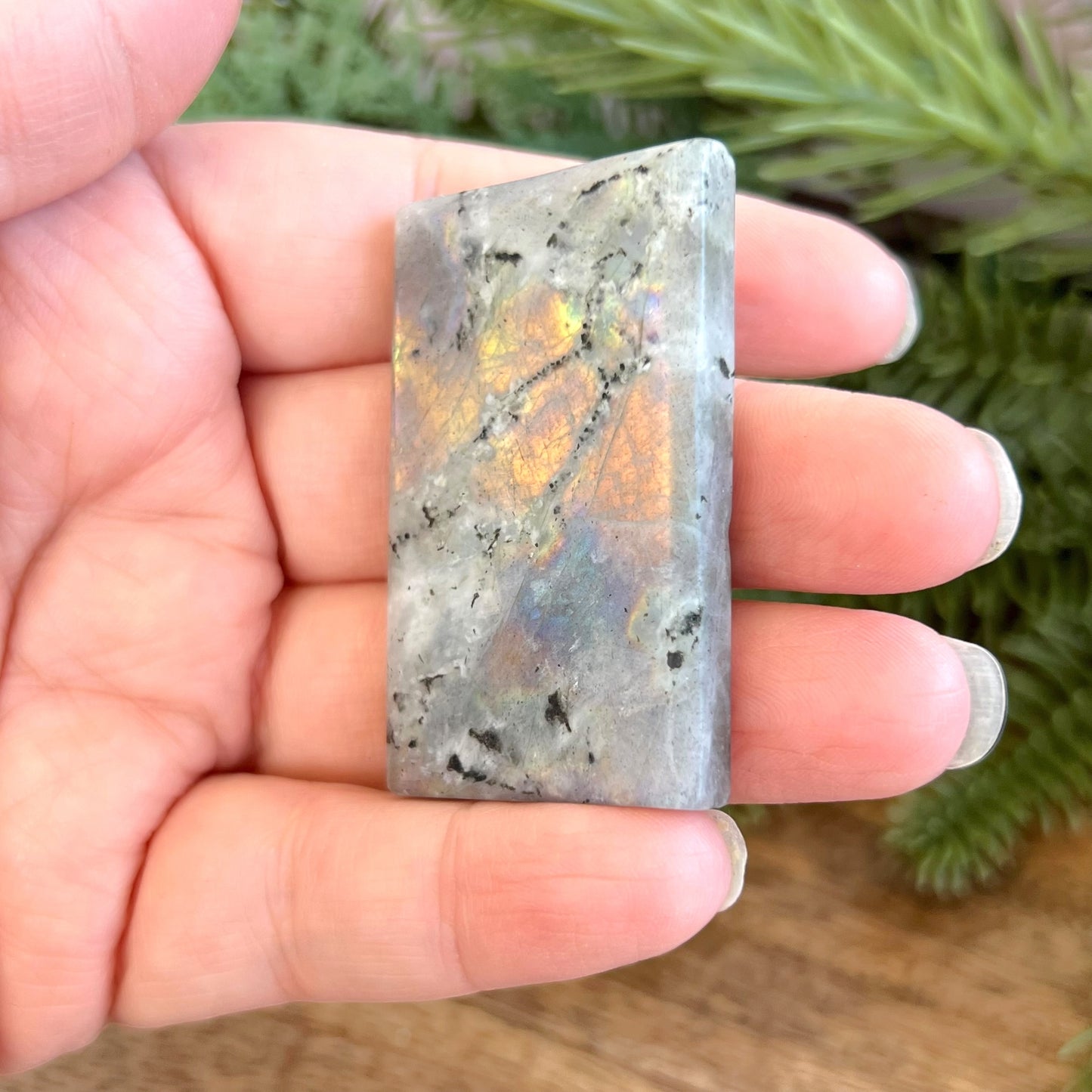 Labradorite Scorpio Carved Cabochon