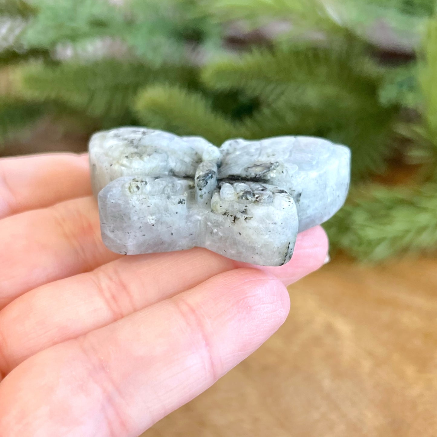 Labradorite Butterfly Carved Cabochon