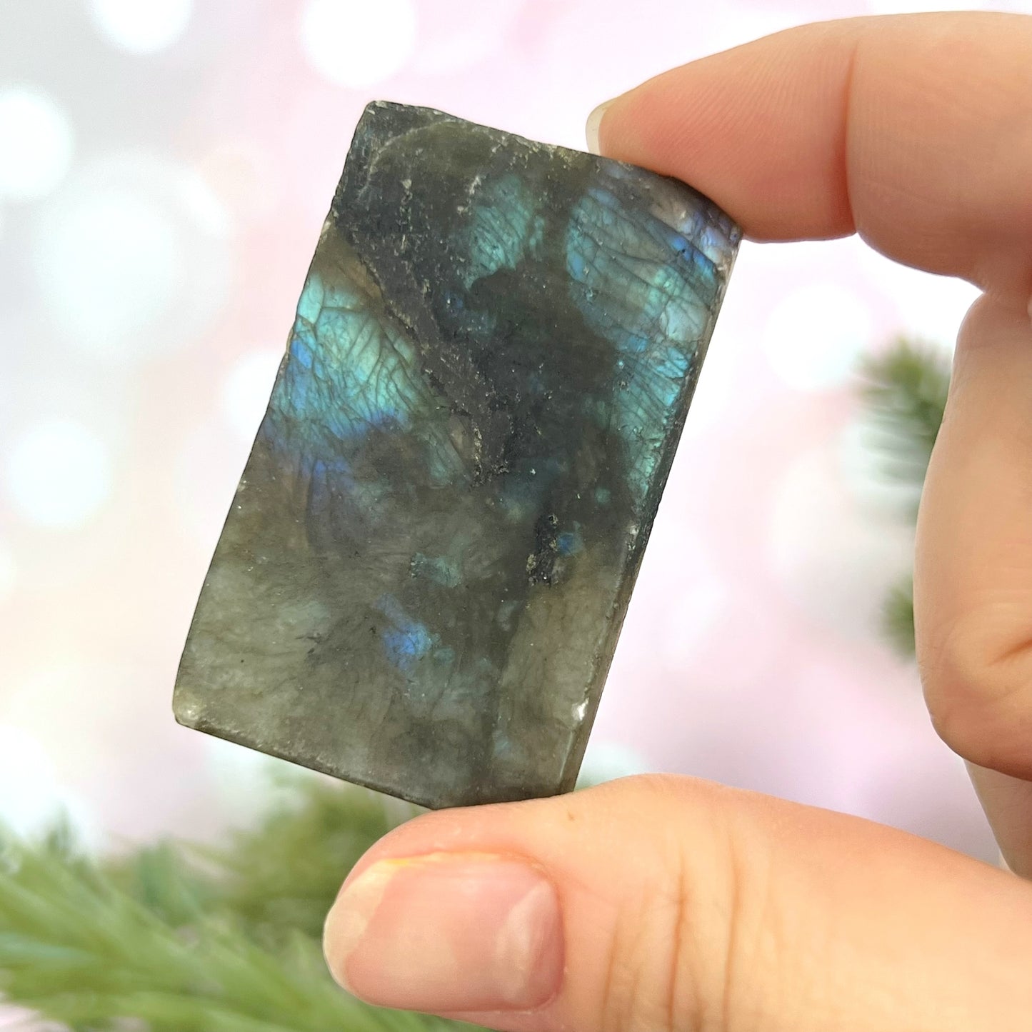 Labradorite Gemini Carved Cabochon