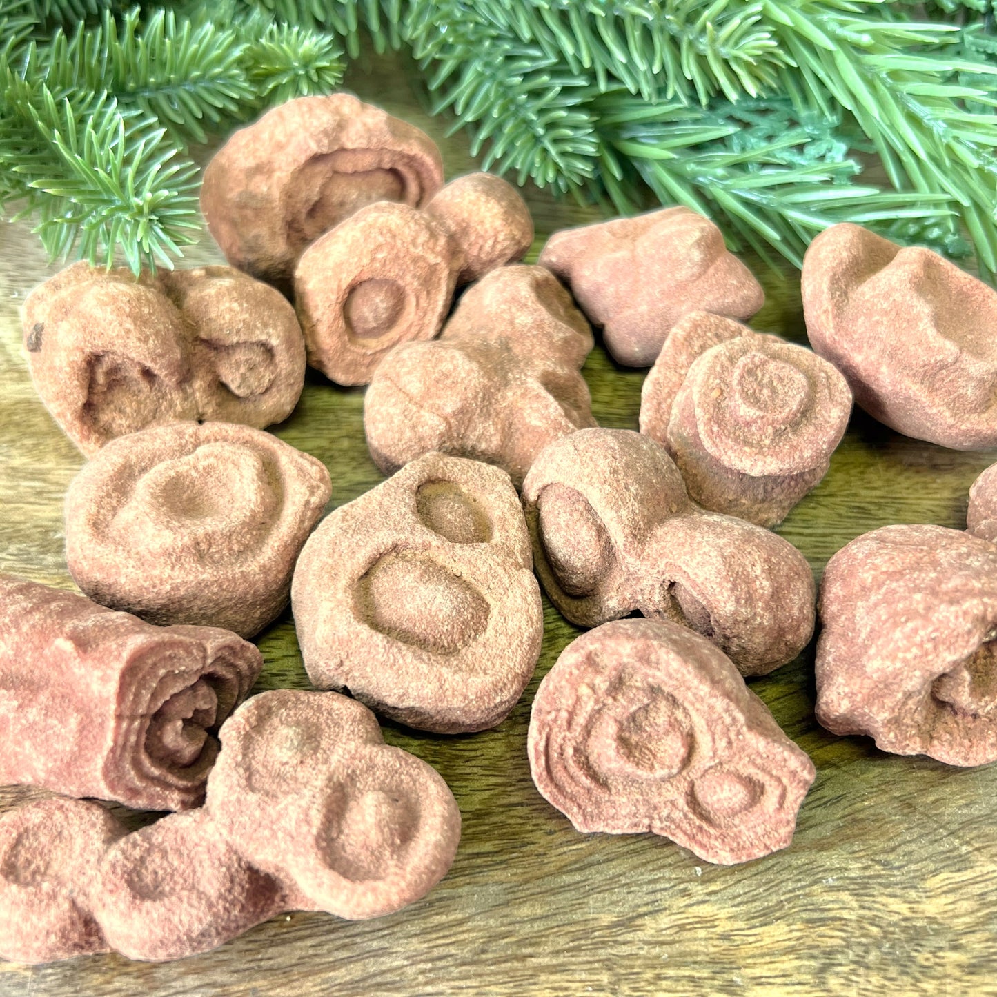 Stromatolite Fossil Raw Stone - You get 1